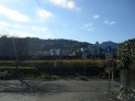 鏡川の土手に向かう